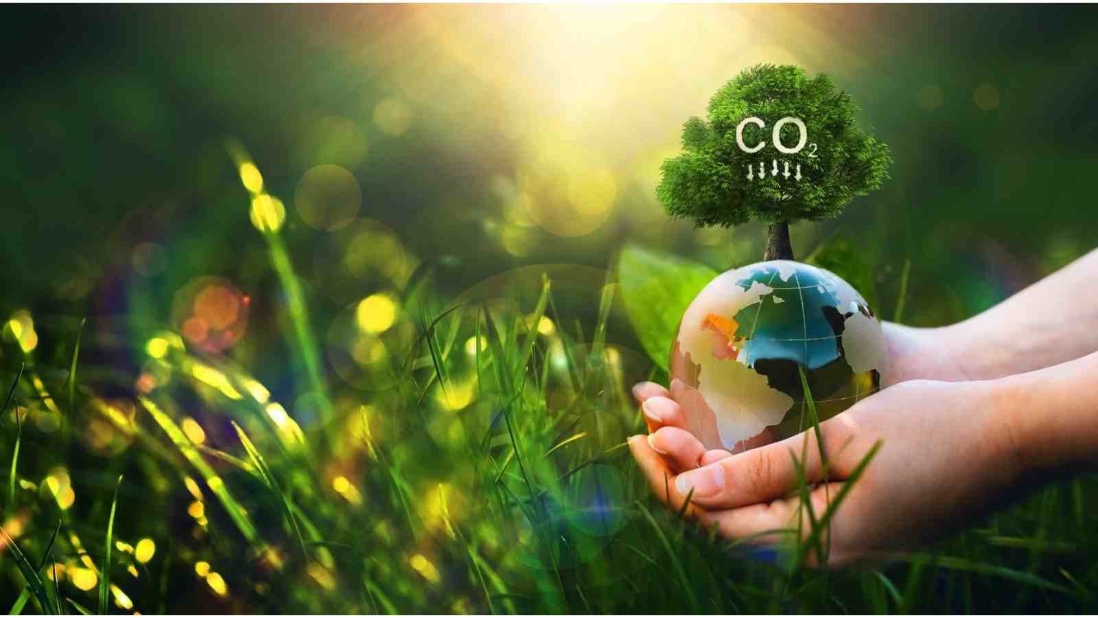 Carbon footprint ke nuksaan