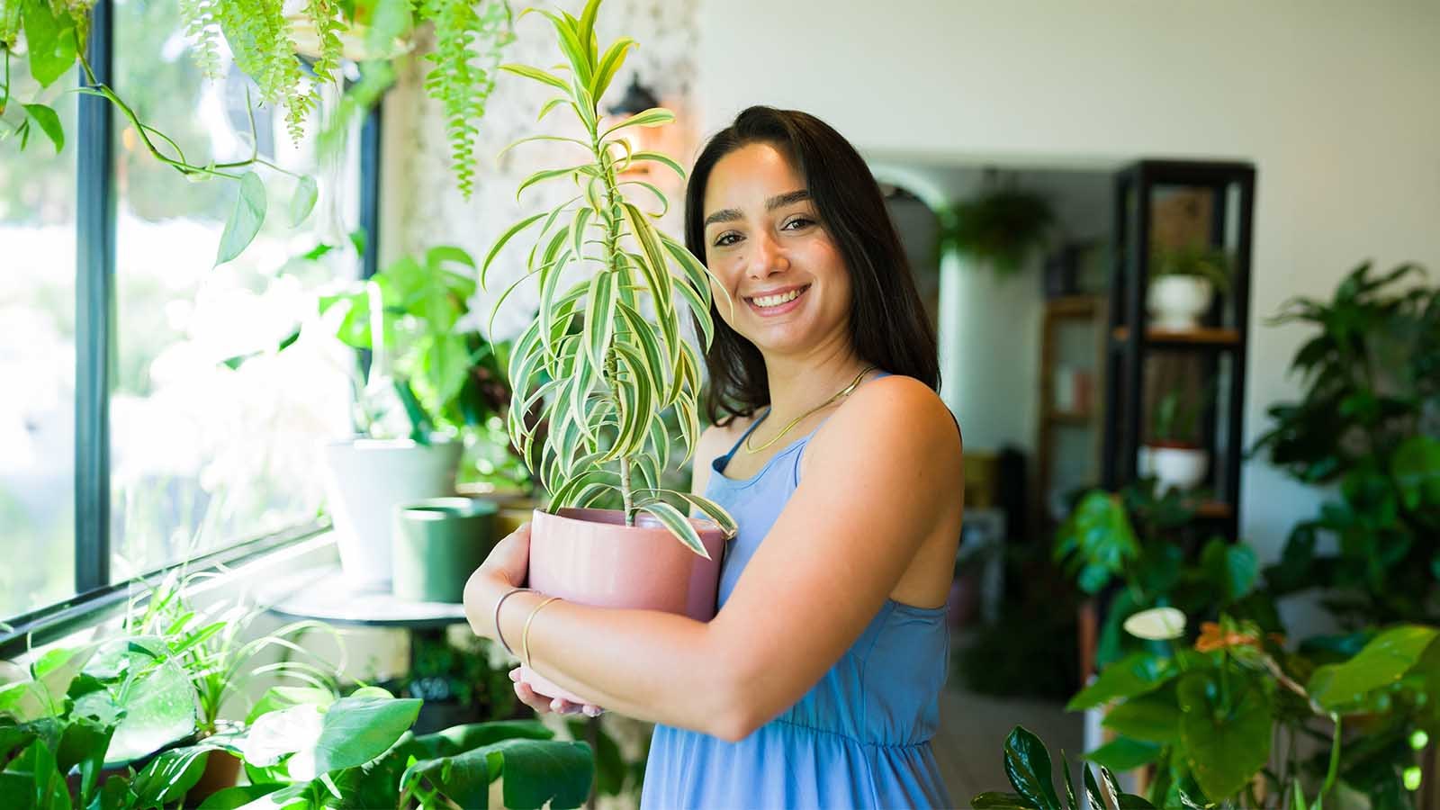 Plants Lagane Ke Fayde